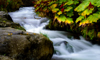 McHugh Creek, Alaska