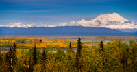 Denali