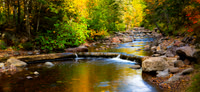 Minnesota