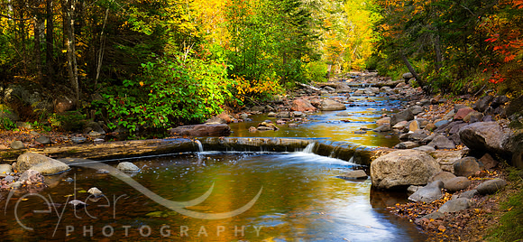Minnesota