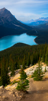 Peyto Lake