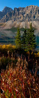 Bow Lake