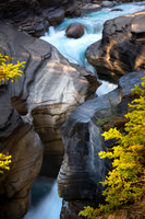 Mistaya Falls, Banff NP