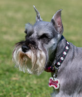 Trudy