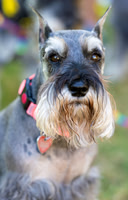 Kelzee