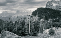 Logan Pass, Glacier NP