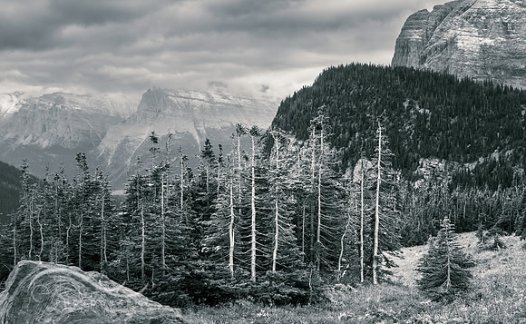 Logan Pass, Glacier NP