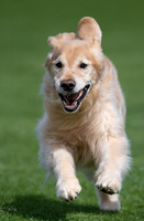 Sundance "Sunny"