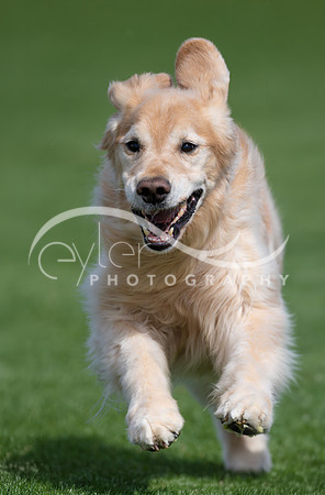Sundance "Sunny"