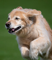Sundance "Sunny"