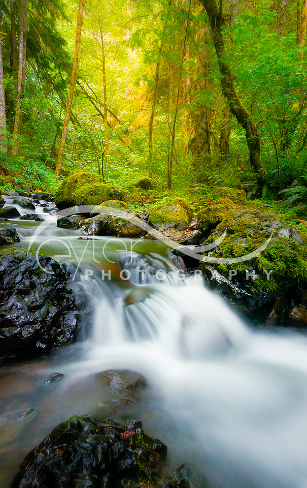 Columbia River Gorge