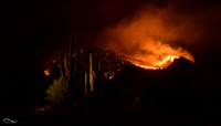 Fire in the Catalina Mountains 2015