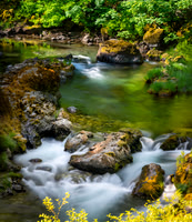 Elk River