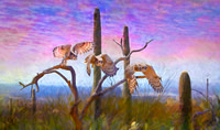 Great Horned Owls