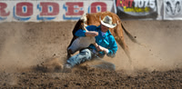 Fiesta de los Vaqueros (Tucson Rodeo)