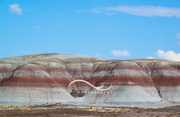 Painted Desert