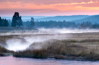 Yellowstone NP