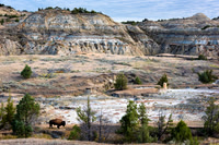 Theodore Roosevelt NP