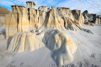 Theodore Roosevelt NP