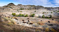 Theodore Roosevelt NP