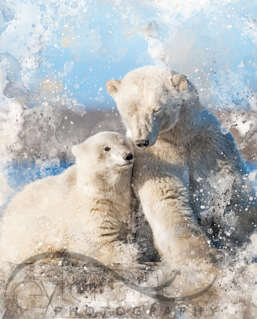 Polar Bear mother and Cub