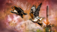 Ferruginous Hawks