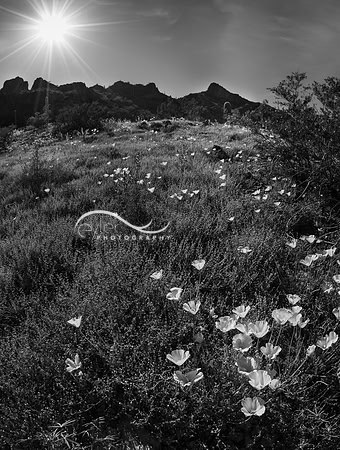Picacho Peak State Park