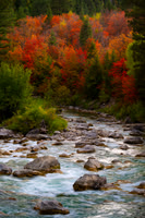 Grey River, WY
