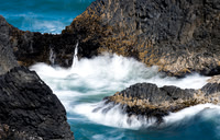 Seal Rocks State Beach