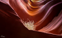Slot Canyon with Tumbleweed