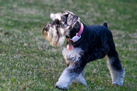 Ruby