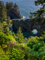 Natural Bridges