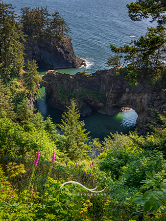 Natural Bridges